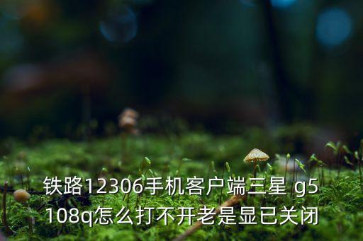 鐵路12306手機客戶端三星 g5108q怎么打不開老是顯已關(guān)閉