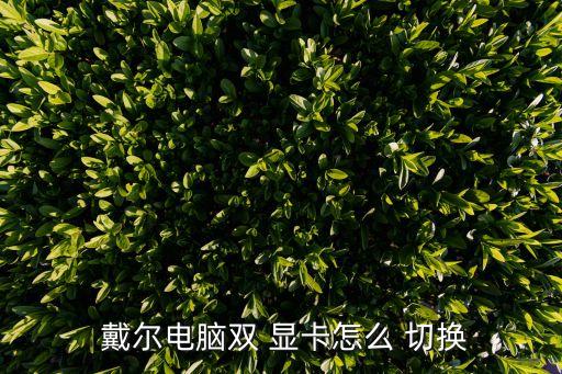 戴爾會自動切換顯卡嗎,系統(tǒng)已安裝獨立顯卡驅(qū)動電腦自動切換