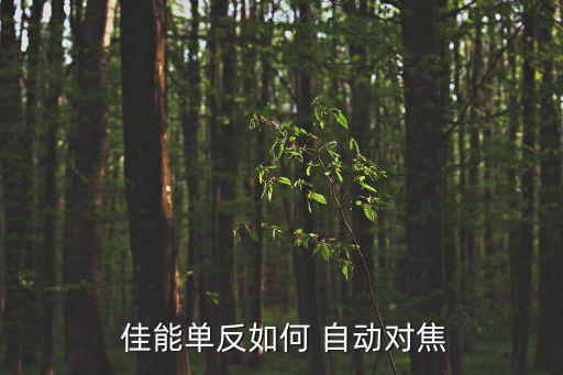 佳能自動(dòng)對(duì)焦微調(diào)說(shuō)明,佳能相機(jī)的對(duì)焦方式