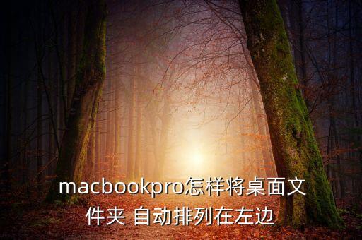  macbookpro怎樣將桌面文件夾 自動排列在左邊