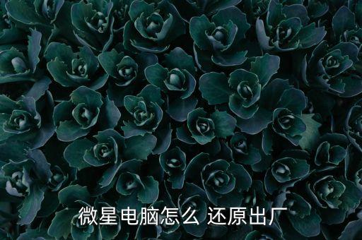  微星電腦怎么 還原出廠