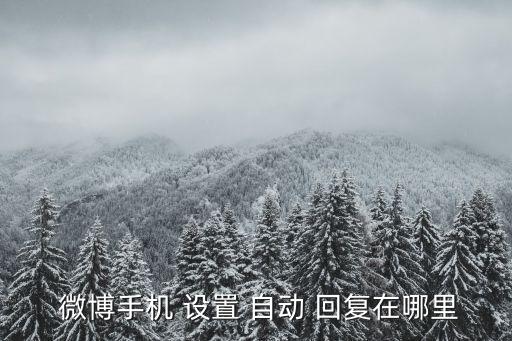  微博手機(jī) 設(shè)置 自動(dòng) 回復(fù)在哪里