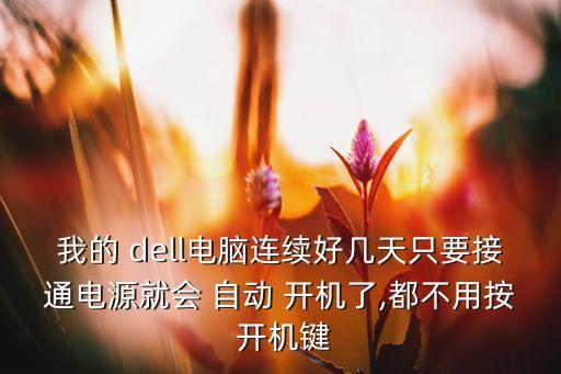 我的 dell電腦連續(xù)好幾天只要接通電源就會 自動 開機了,都不用按 開機鍵