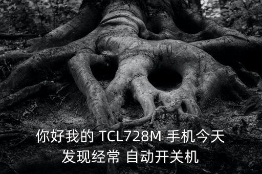 你好我的 TCL728M 手機(jī)今天發(fā)現(xiàn)經(jīng)常 自動開關(guān)機(jī)