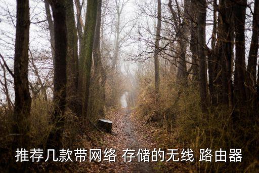 推薦幾款帶網(wǎng)絡(luò) 存儲(chǔ)的無線 路由器