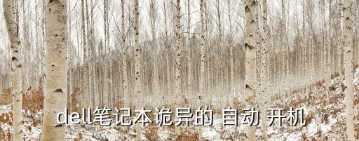 dell服務(wù)器自動(dòng)開機(jī),戴爾筆記本開機(jī)如何設(shè)置?