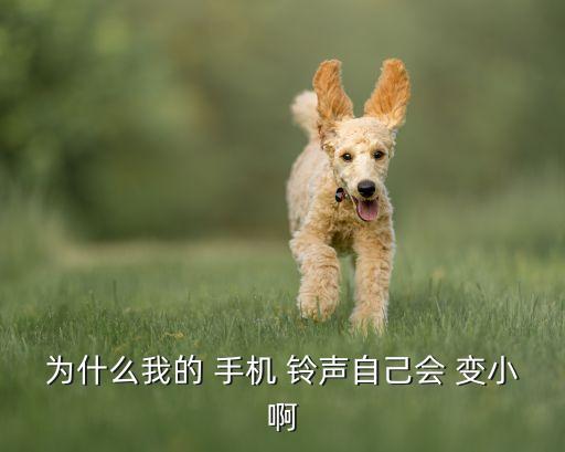 三星手機鈴聲自動變小,三星手機優(yōu)點:時尚外觀精致做工