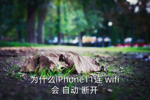 連wifi自動斷開連接,手機(jī)連接wifi怎么自動斷網(wǎng)?