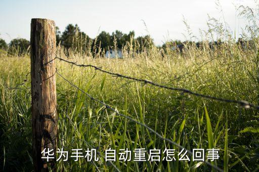 華為卡頓自動開機(jī)怎么辦,手機(jī)沒電了怎么辦?這些問題要解答!