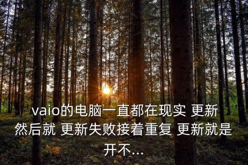 vaio取消自動更新,如何從家庭版升級到旗艦版?
