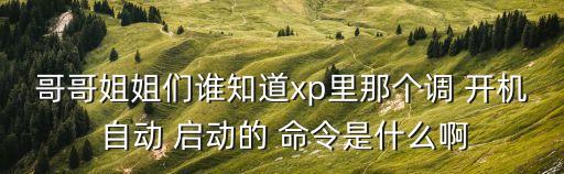 哥哥姐姐們誰知道xp里那個調(diào) 開機 自動 啟動的 命令是什么啊
