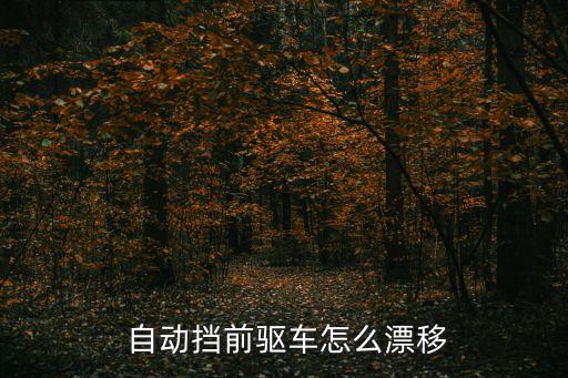 自動擋飄逸,汽車技巧與竅門