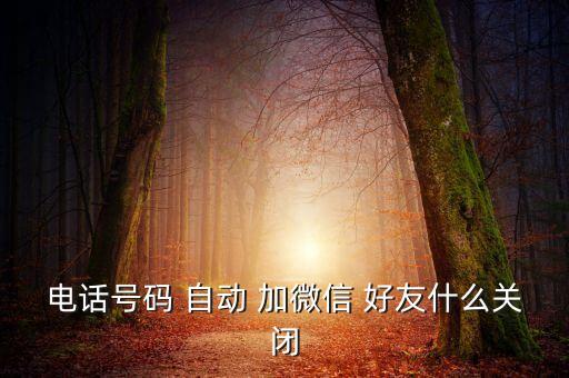電話號(hào)碼 自動(dòng) 加微信 好友什么關(guān)閉