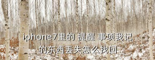 iphone7里的 提醒 事項(xiàng)我記的東西丟失怎么找回