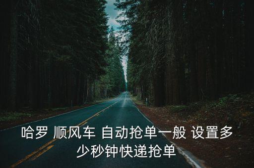 哈羅 順風(fēng)車 自動搶單一般 設(shè)置多少秒鐘快遞搶單