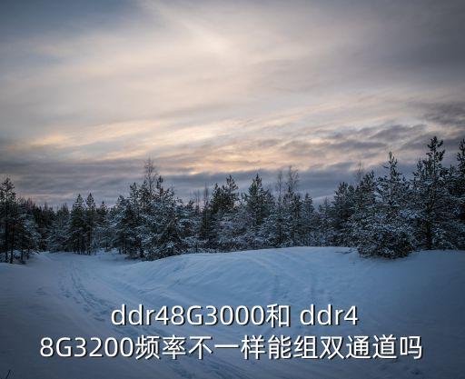  ddr48G3000和 ddr48G3200頻率不一樣能組雙通道嗎