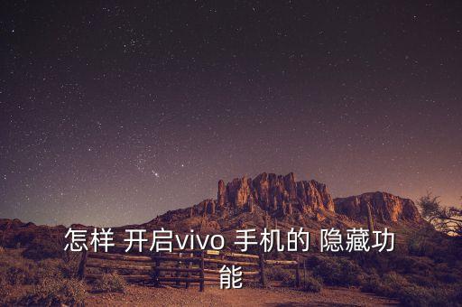 怎樣 開啟vivo 手機的 隱藏功能