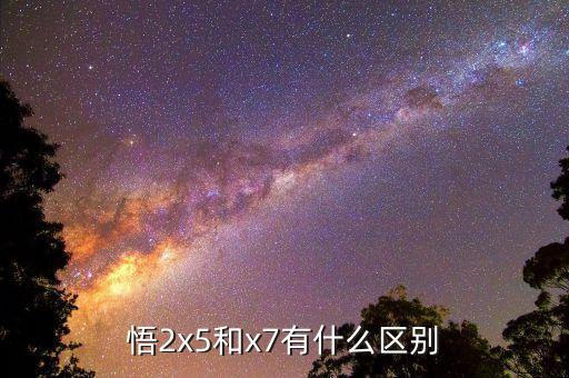 大疆悟2 自動環(huán)繞,選擇自己擅長的領(lǐng)域和方向