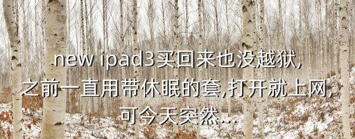 ipad3自動鎖屏,如何買到越獄版蘋果電玩ipad?