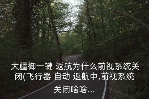  大疆御一鍵 返航為什么前視系統(tǒng)關閉(飛行器 自動 返航中,前視系統(tǒng)關閉啥啥...