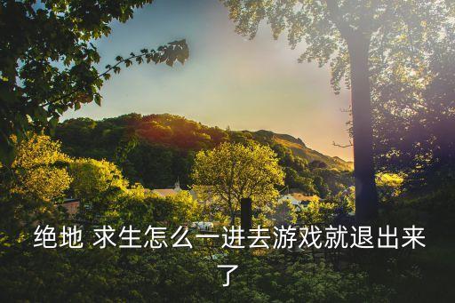  絕地 求生怎么一進(jìn)去游戲就退出來了