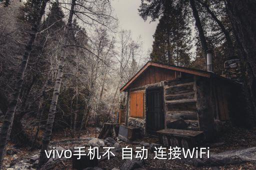 vivo手機(jī)不 自動 連接WiFi