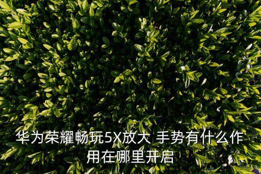 華為榮耀暢玩5X放大 手勢有什么作用在哪里開啟