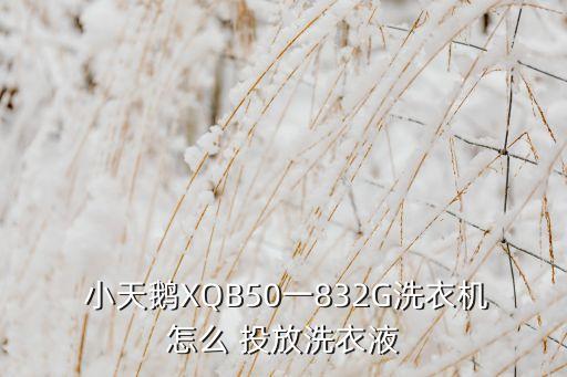  小天鵝XQB50一832G洗衣機怎么 投放洗衣液