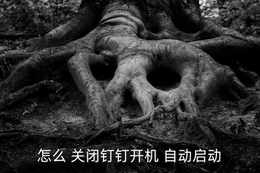 關(guān)閉釘釘自動(dòng)更新,釘釘如何啟動(dòng)關(guān)閉方法:點(diǎn)擊工作按鈕