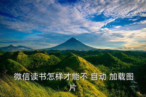  微信讀書怎樣才能不 自動 加載圖片