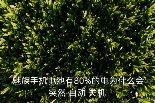  魅族手機(jī)電池有80%的電為什么會突然 自動 關(guān)機(jī)