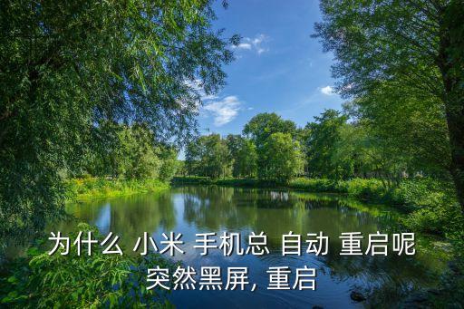 小米手機總是自動重啟怎么回事啊,小米手機黑屏有哪幾種情況?