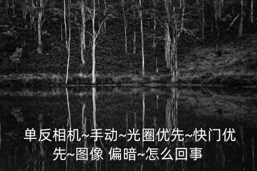 單反自動內(nèi)測光偏暗,測試手機內(nèi)部系統(tǒng)曝光如何進(jìn)行測試