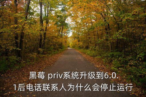  黑莓 priv系統(tǒng)升級(jí)到6.0.1后電話聯(lián)系人為什么會(huì)停止運(yùn)行