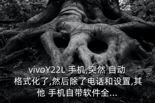vivoY22L 手機(jī),突然 自動(dòng) 格式化了,然后除了電話和設(shè)置,其他 手機(jī)自帶軟件全...