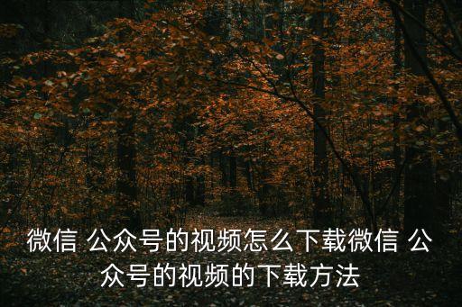 微信 公眾號(hào)的視頻怎么下載微信 公眾號(hào)的視頻的下載方法