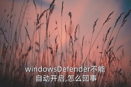 windowsDefender不能 自動(dòng)開(kāi)啟,怎么回事
