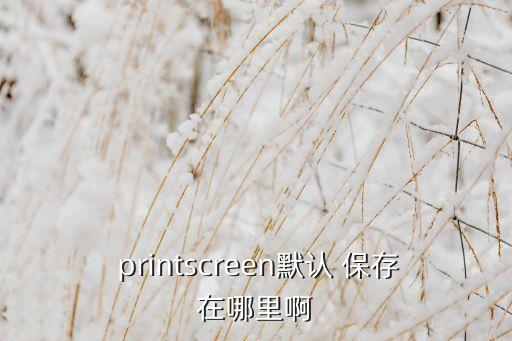 printscreen自動保存,如何操作電腦應(yīng)用程序?