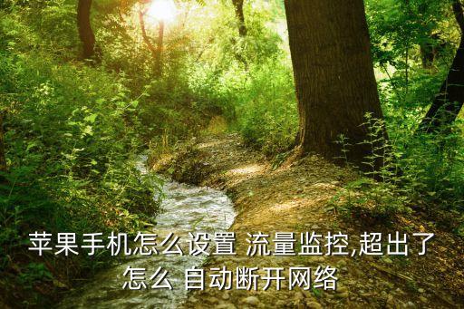 日超流量自動斷網(wǎng),點(diǎn)擊套餐設(shè)置按鈕可設(shè)置流量限額提醒