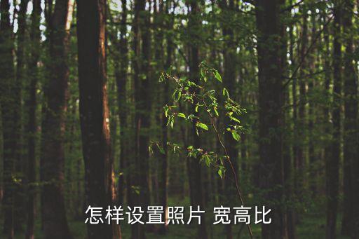 怎樣設(shè)置照片 寬高比