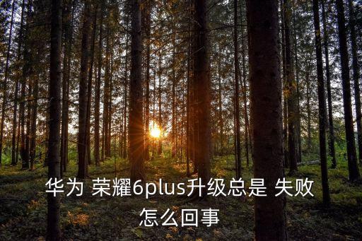 榮耀6自動(dòng)更新失敗,在線升級(jí)失敗可能是電池不足導(dǎo)致