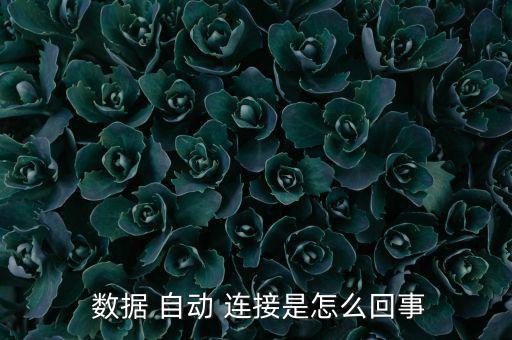  數(shù)據(jù) 自動 連接是怎么回事