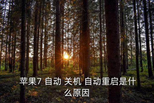  蘋果7 自動(dòng) 關(guān)機(jī) 自動(dòng)重啟是什么原因