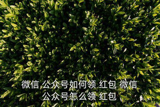  微信 公眾號如何領(lǐng) 紅包 微信 公眾號怎么領(lǐng) 紅包