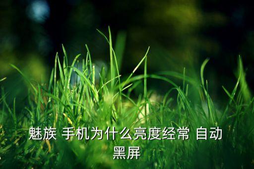  魅族 手機為什么亮度經常 自動 黑屏