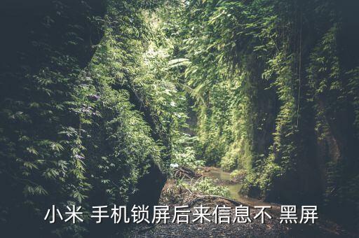 小米手機(jī)屏幕不自動(dòng)黑屏,手機(jī)屏幕黑屏或因軟件異常造成