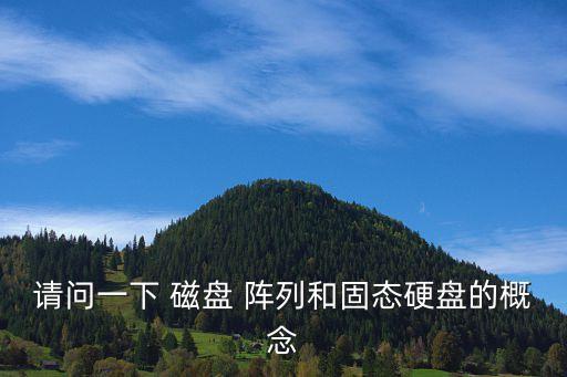 請問一下 磁盤 陣列和固態(tài)硬盤的概念