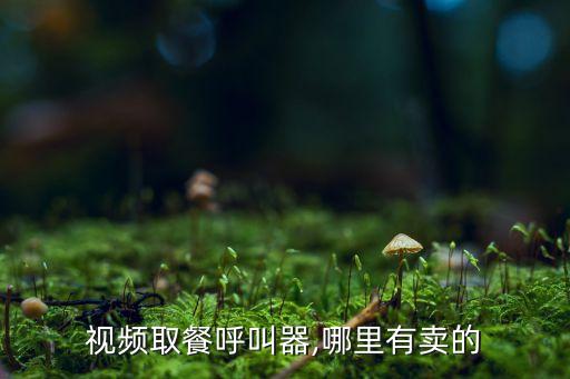 視頻取餐呼叫器,哪里有賣的