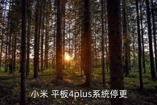 小米平板 關(guān)閉自動(dòng)更新,小米平板4因三個(gè)問題停止更新