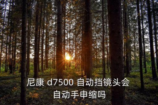 尼康d7500自動(dòng)對(duì)焦嗎,佳能80d配備45點(diǎn)自動(dòng)對(duì)焦模塊
